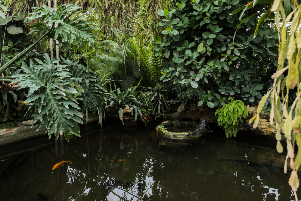 kolam ikan minimalis dalam rumah